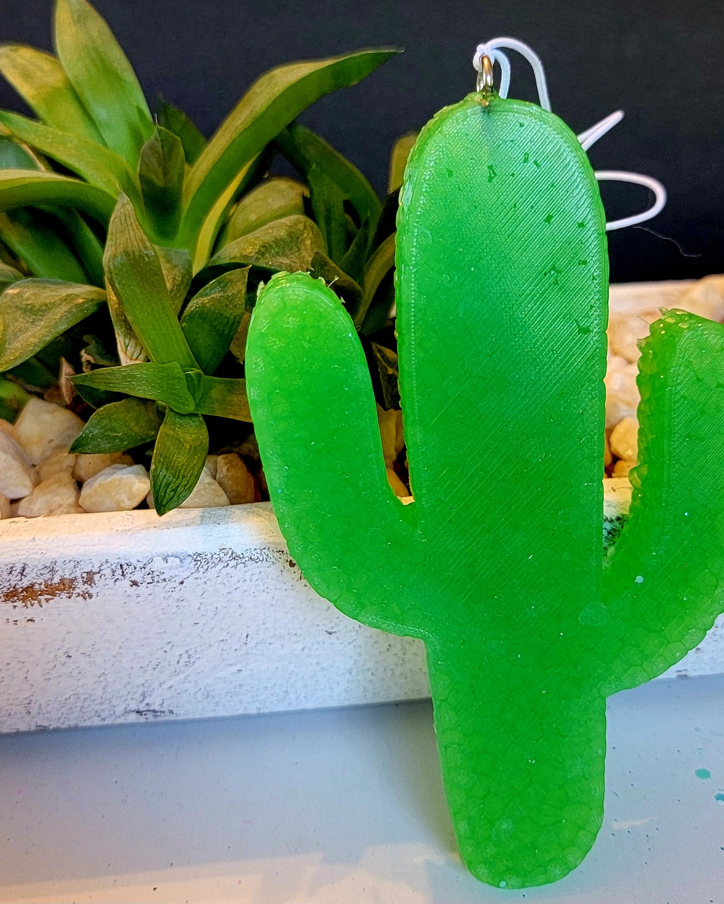 Cactus