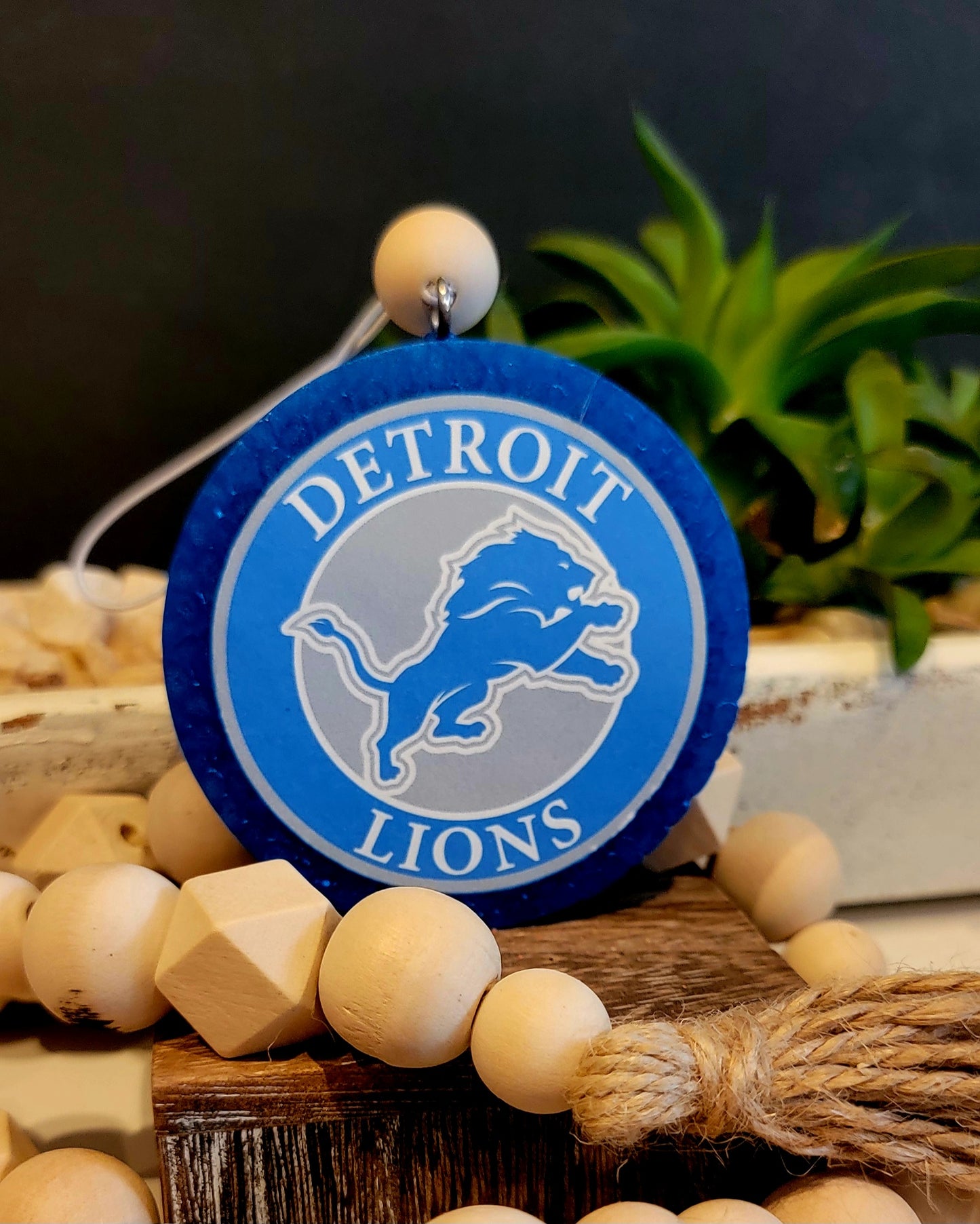 Detroit Lions